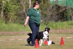 2023 Ralley Obedience