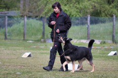 IMG_3599