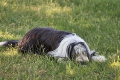 IMG_4172