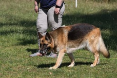 IMG_4256