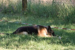 IMG_4258