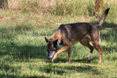 IMG_4343