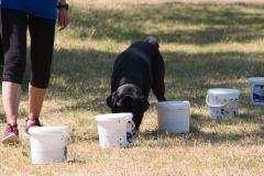 IMG_4362