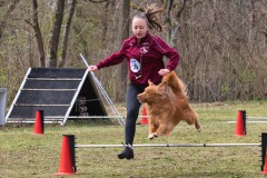 IMG_2949