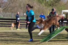 IMG_3200